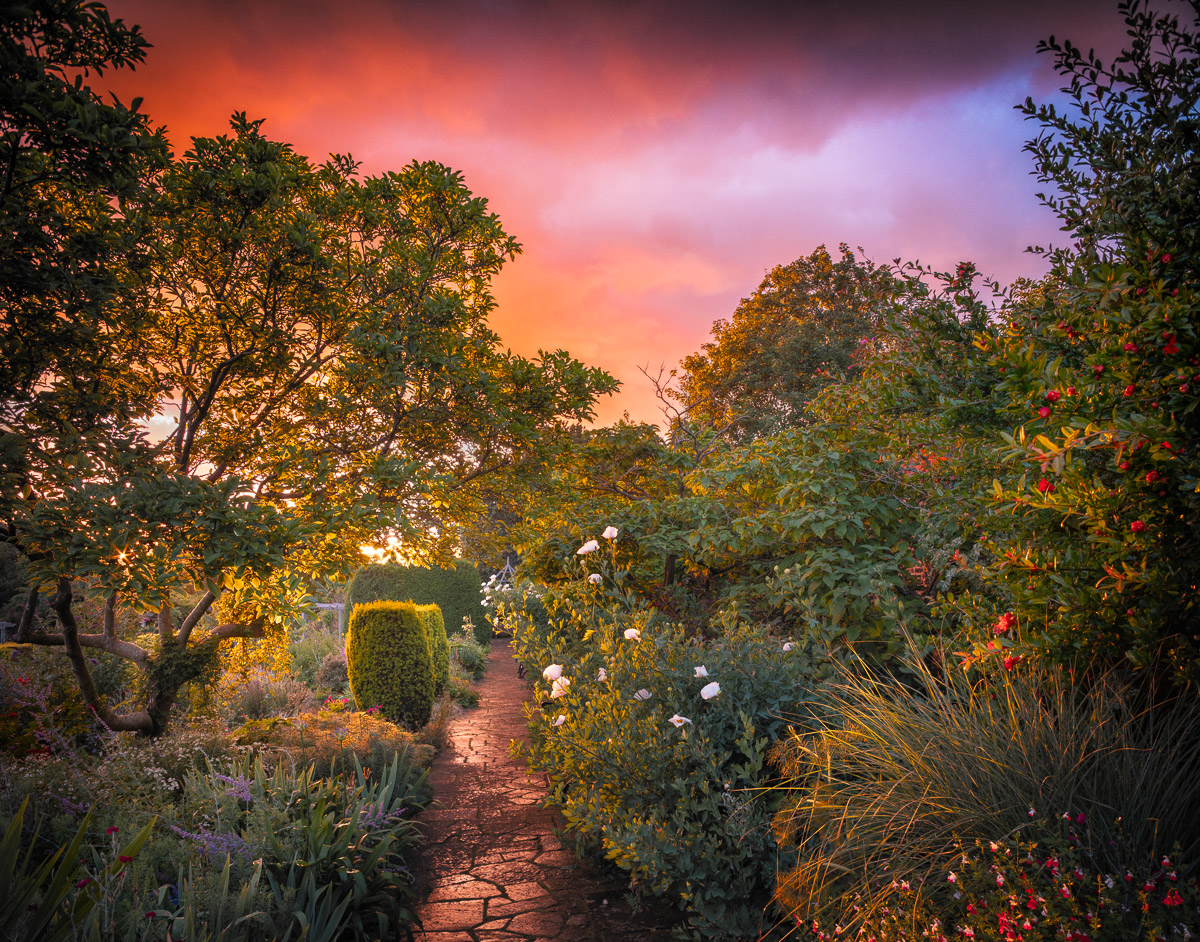 International Garden Photographer of the Year